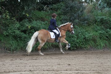 Bild 1029 - WBO-Turnier am 18.9.11